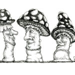 Mushrooms002