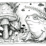 frog and mushrooms001